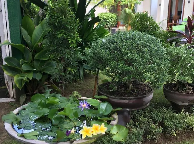 Kubu Pansiyon *