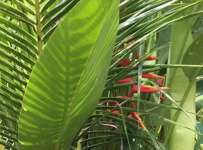 Pansiyon Kubu Nusa Dua (Bali)