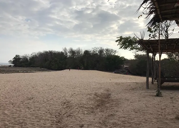 Kubu