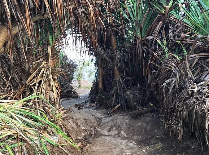 Kubu Pansiyon Nusa Dua (Bali)